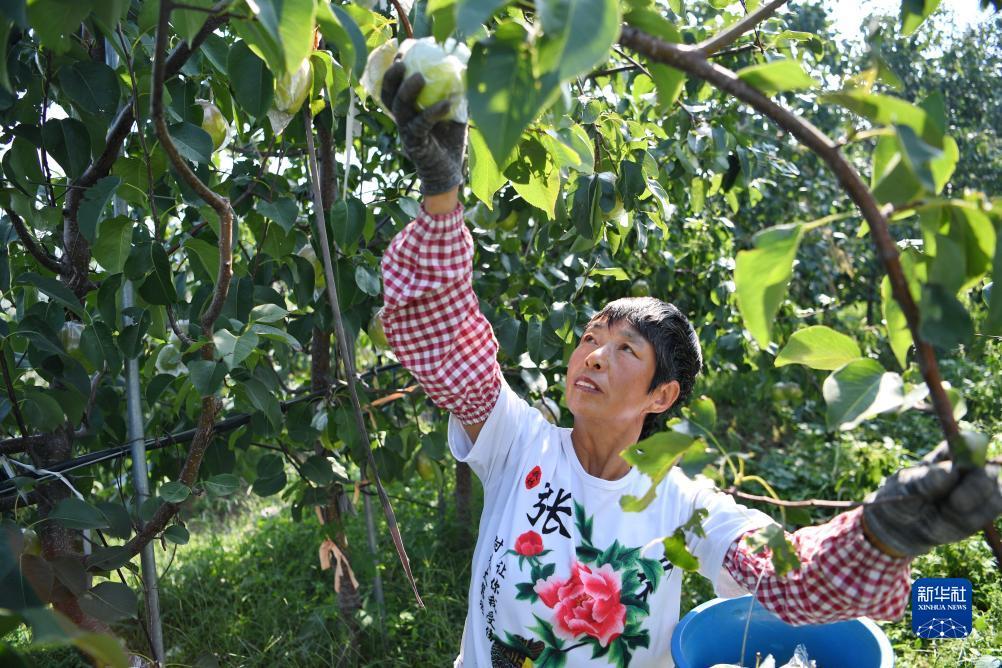 苹果梭哈app
